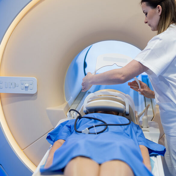 image_Poursuite d’études possibles 