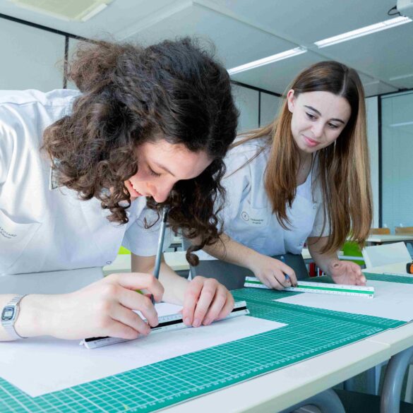 image_Les poursuites d'études après le Diplôme d'État